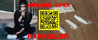 крисы Славгород