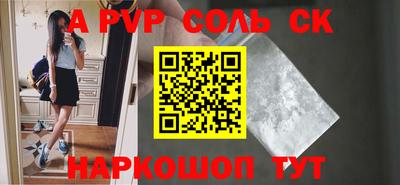 крисы Славгород