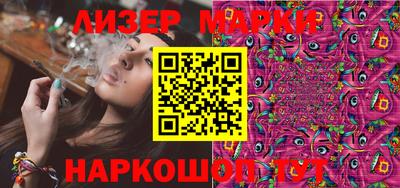 крисы Славгород