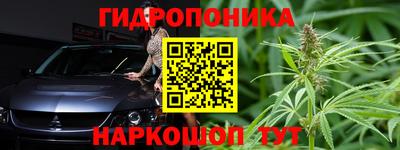 крисы Славгород