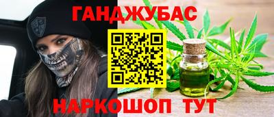 крисы Славгород