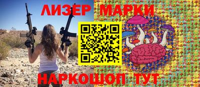 крисы Славгород
