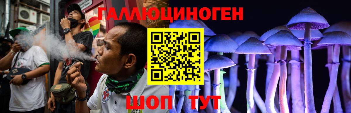 Нурлат  Галлюциногенные грибы Cubensis  Вход с VPN  Псилоцибиновые грибы мицелий 